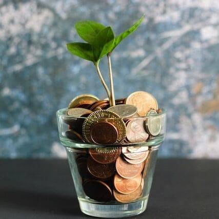 Plant in a cup filled with coins